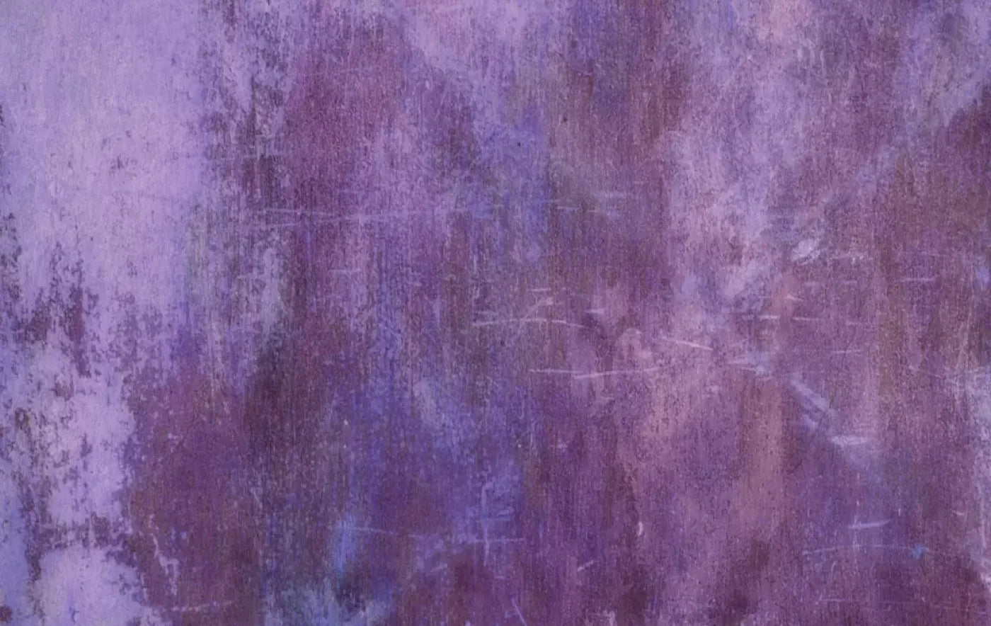 Purple Rain 16X10 Ultracloth ( 192 X 120 Inch ) Backdrop