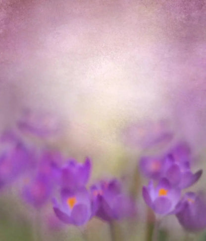Purple Spring 10X12 Ultracloth ( 120 X 144 Inch ) Backdrop