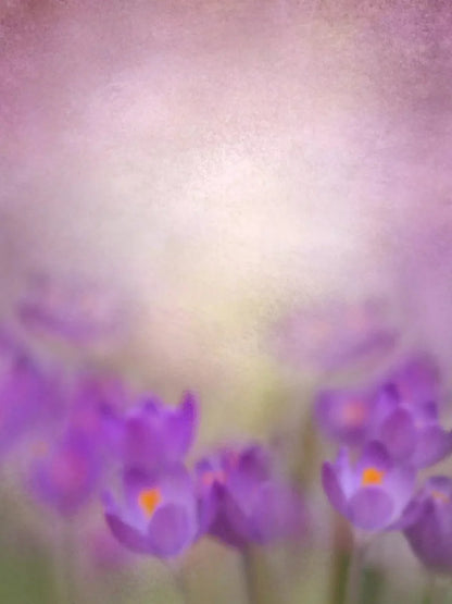 Purple Spring 8X10 Fleece ( 96 X 120 Inch ) Backdrop