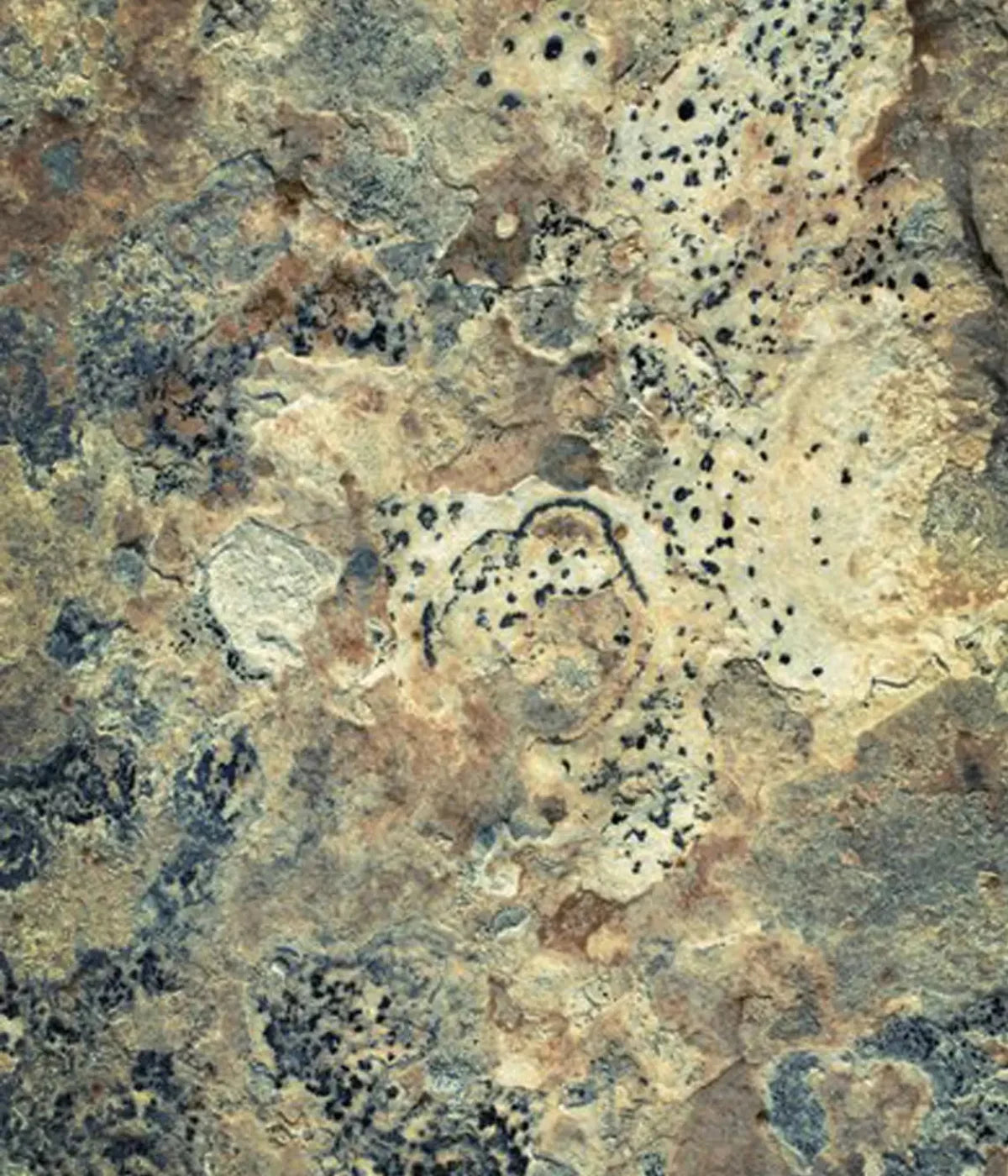 Quarry 10X12 Ultracloth ( 120 X 144 Inch ) Backdrop