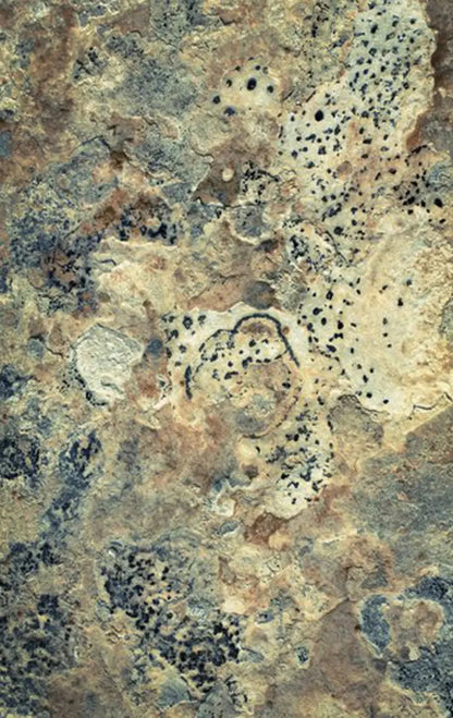 Quarry 10X16 Ultracloth ( 120 X 192 Inch ) Backdrop