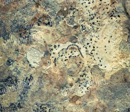 Quarry 12X10 Ultracloth ( 144 X 120 Inch ) Backdrop