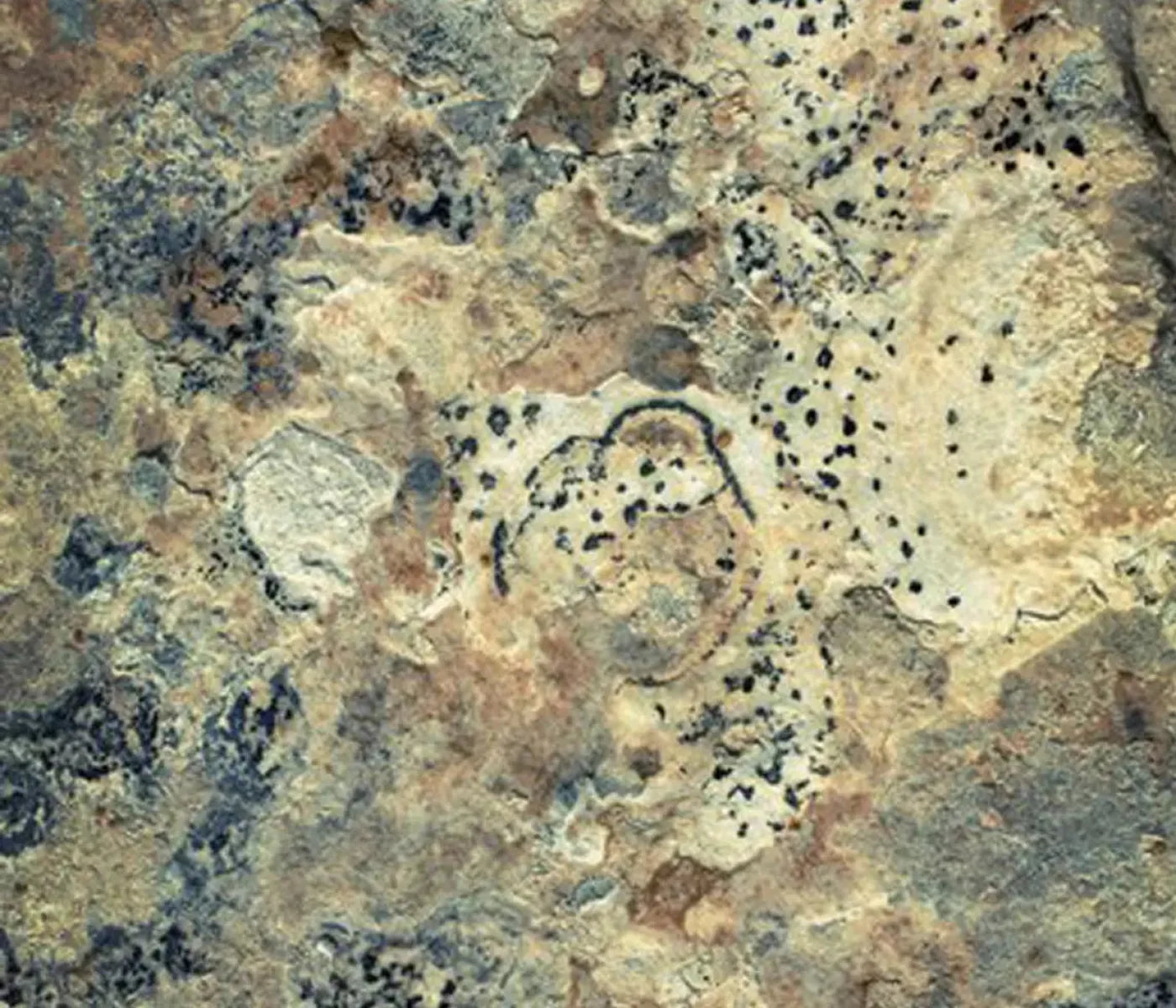 Quarry 12X10 Ultracloth ( 144 X 120 Inch ) Backdrop