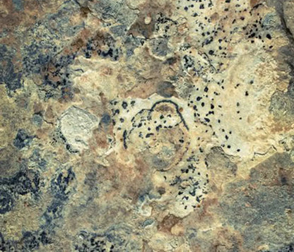 Quarry 12X10 Ultracloth ( 144 X 120 Inch ) Backdrop