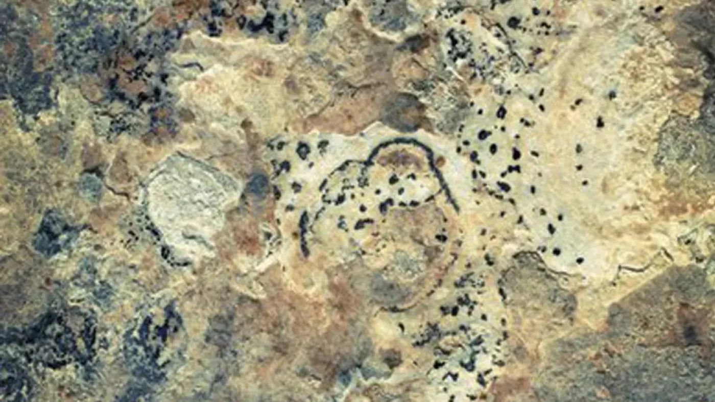 Quarry 14X8 Ultracloth ( 168 X 96 Inch ) Backdrop