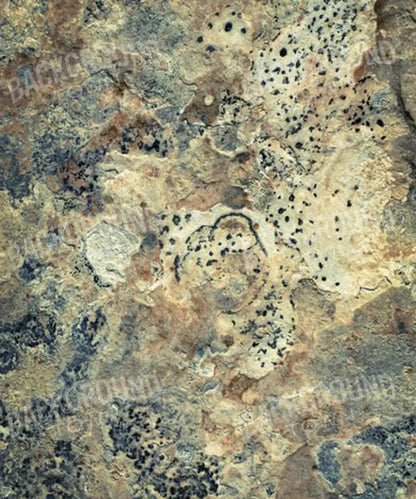 Beige Urban Grunge Backdrop for Photography