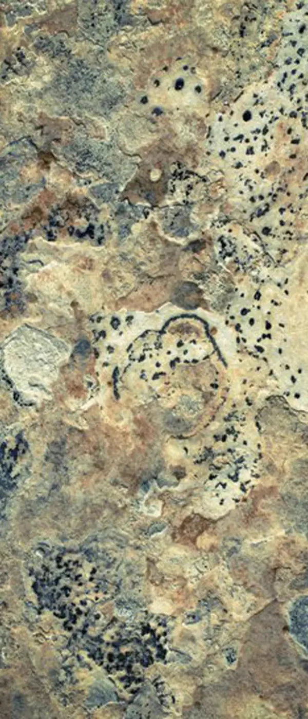 Quarry 5X12 Ultracloth For Westcott X-Drop ( 60 X 144 Inch ) Backdrop