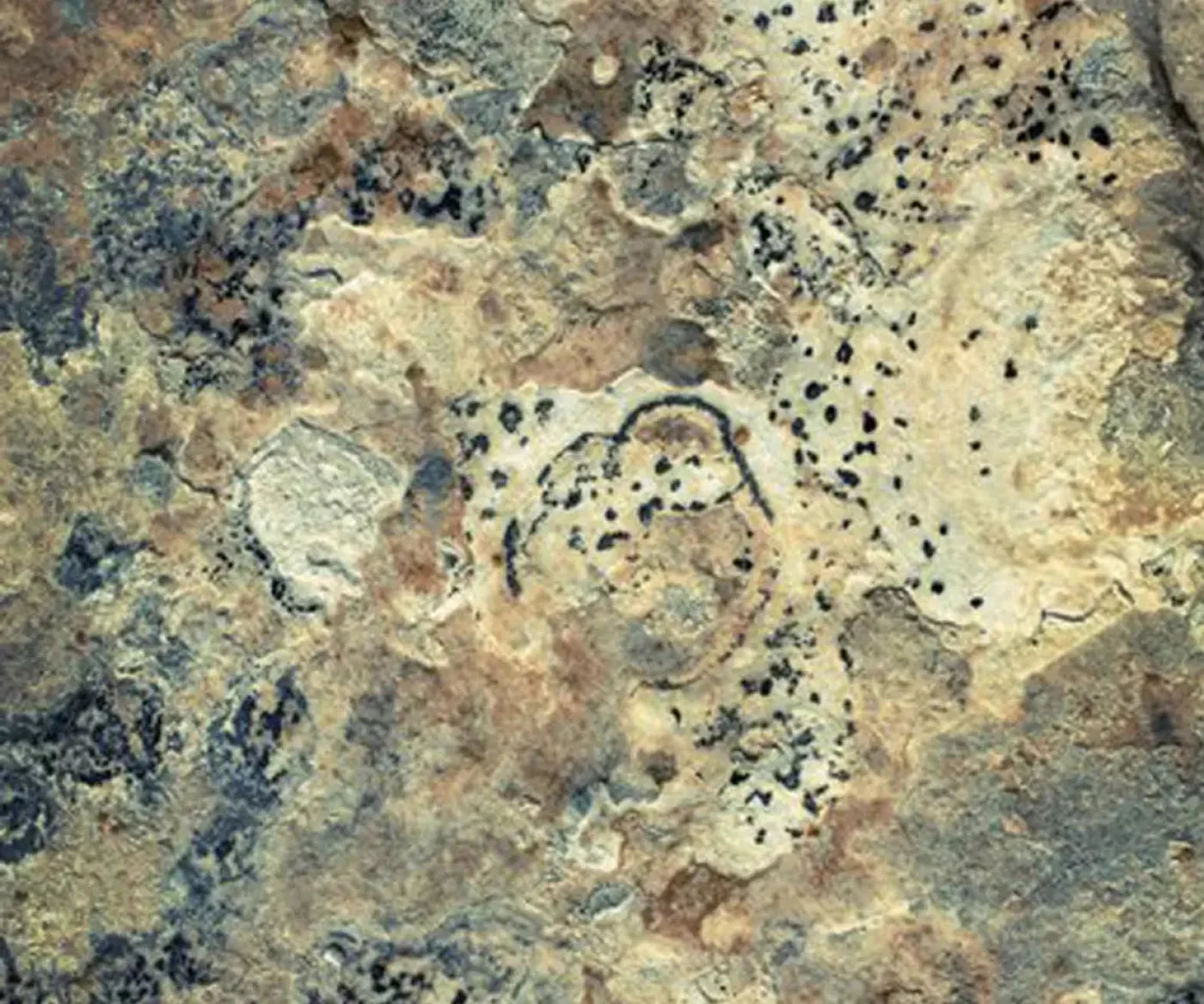 Quarry 5X42 Fleece ( 60 X 50 Inch ) Backdrop