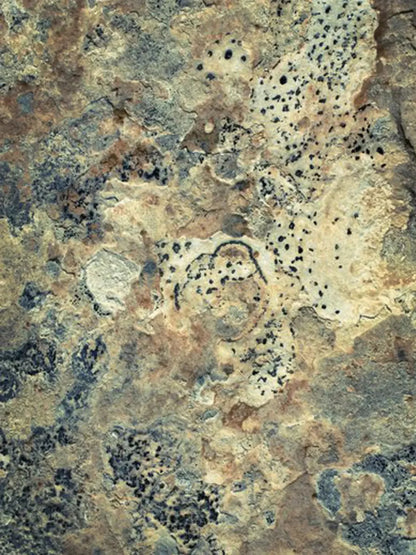 Quarry 5X68 Fleece ( 60 X 80 Inch ) Backdrop