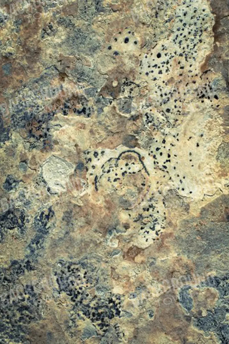 Quarry 5X8 Ultracloth ( 60 X 96 Inch ) Backdrop