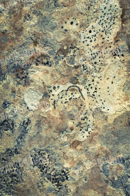 Quarry 5X8 Ultracloth ( 60 X 96 Inch ) Backdrop