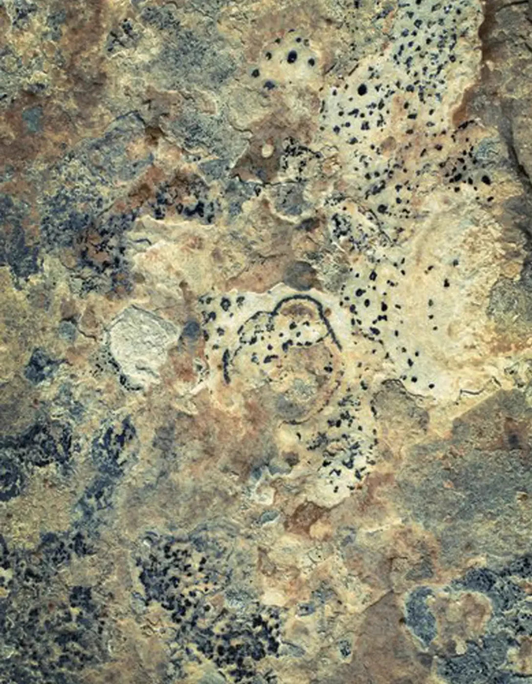 Quarry 6X8 Fleece ( 72 X 96 Inch ) Backdrop