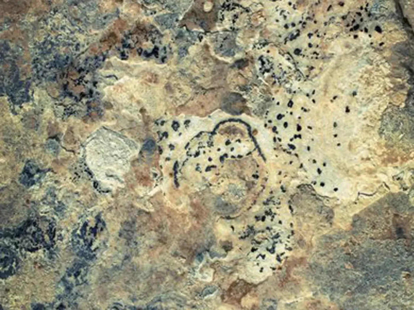 Quarry 7X5 Ultracloth ( 84 X 60 Inch ) Backdrop