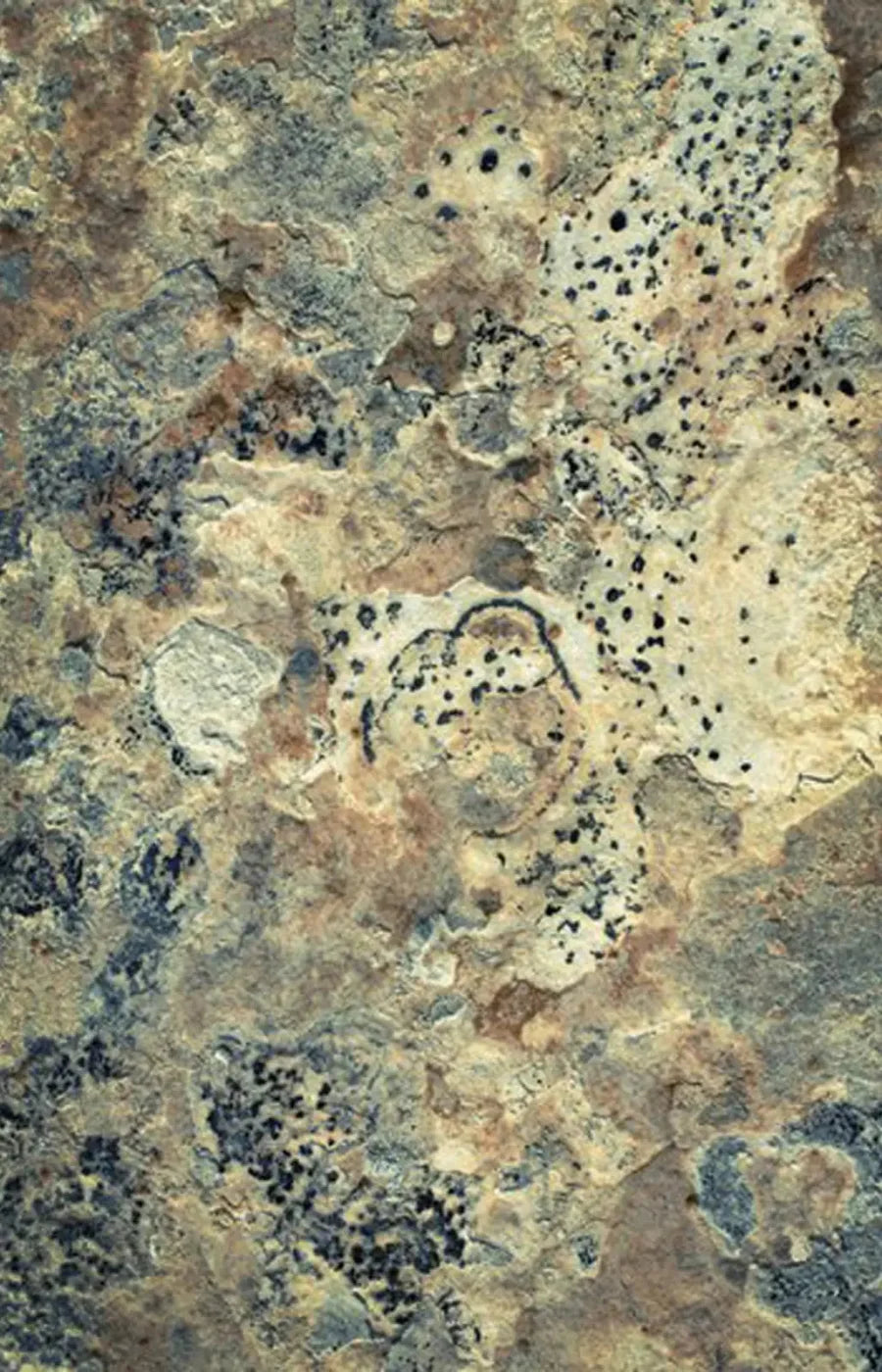 Quarry 8X12 Ultracloth ( 96 X 144 Inch ) Backdrop