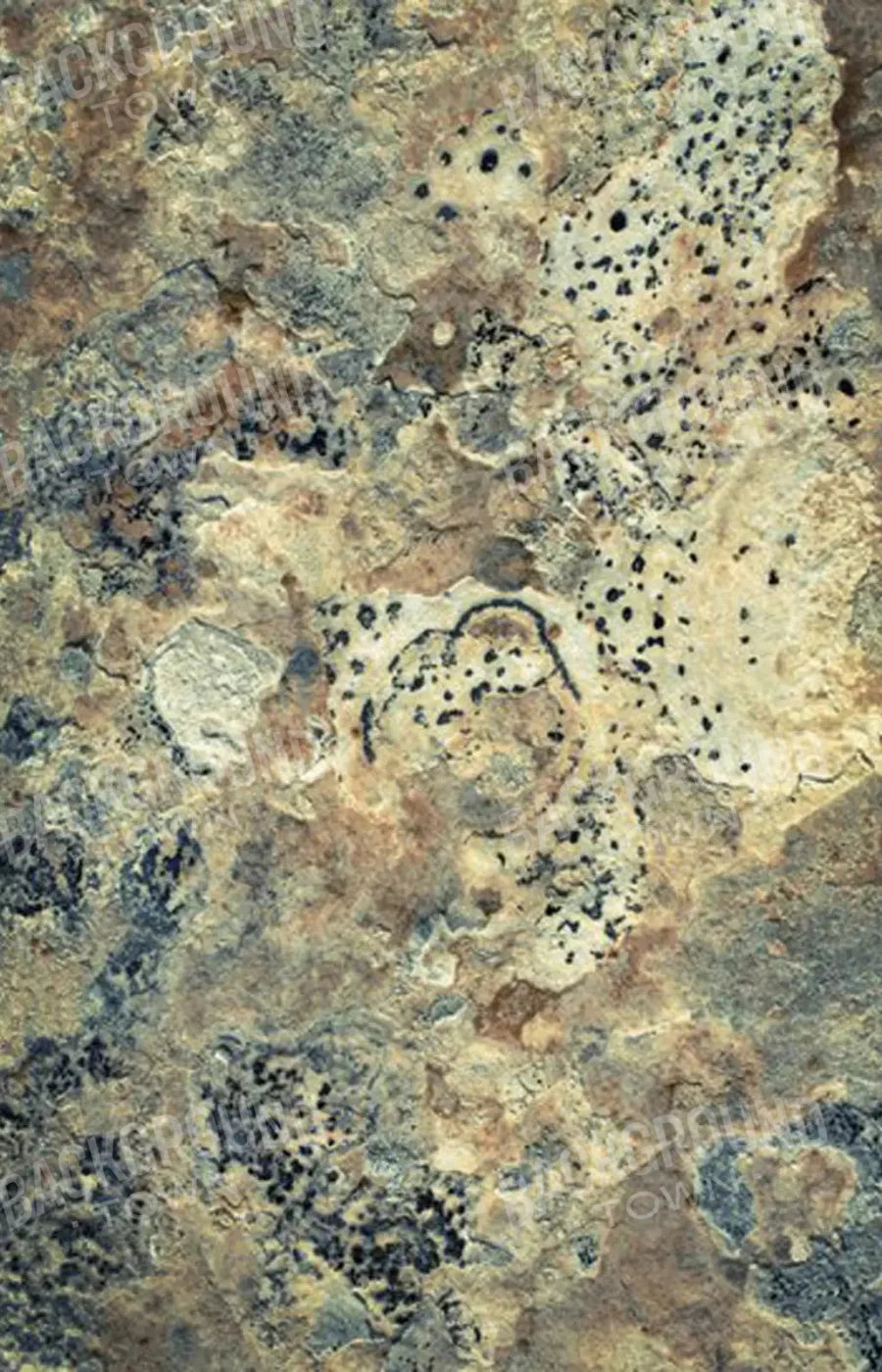 Quarry 8X12 Ultracloth ( 96 X 144 Inch ) Backdrop