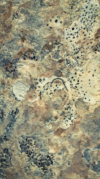 Quarry 8X14 Ultracloth ( 96 X 168 Inch ) Backdrop