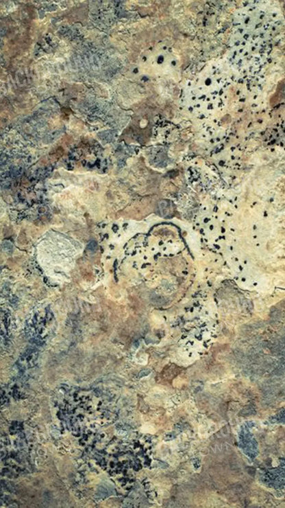 Quarry 8X14 Ultracloth ( 96 X 168 Inch ) Backdrop