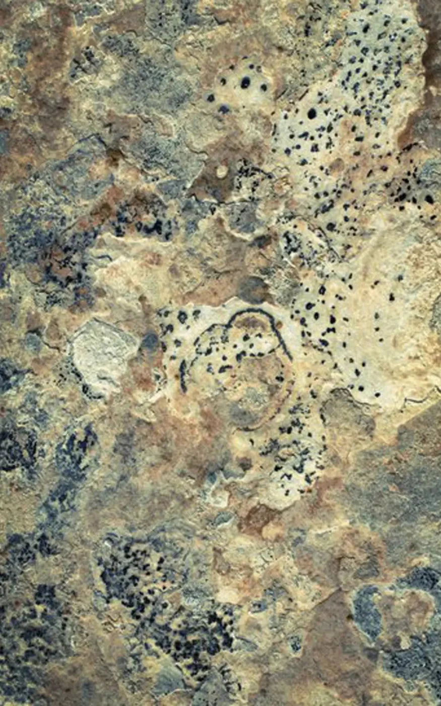 Quarry 9X14 Ultracloth ( 108 X 168 Inch ) Backdrop