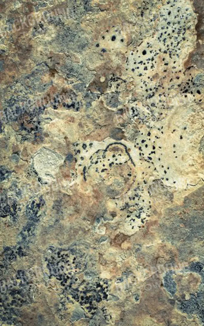 Quarry 9X14 Ultracloth ( 108 X 168 Inch ) Backdrop