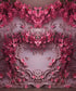 Pink  Backdrop for Photography