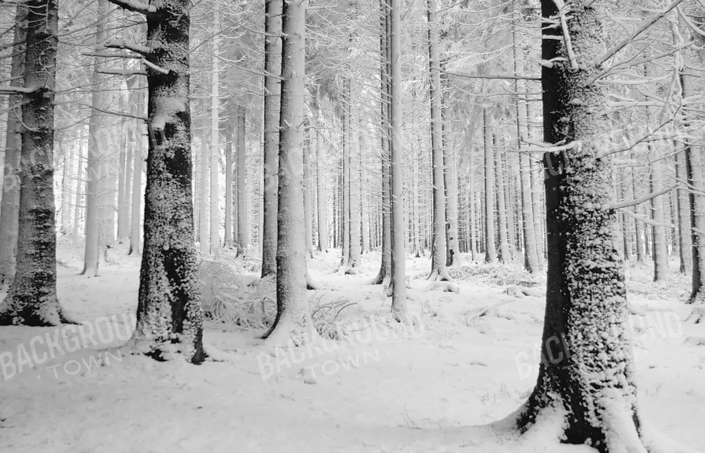 Quiet Winter Walk 12X8 Ultracloth ( 144 X 96 Inch ) Backdrop