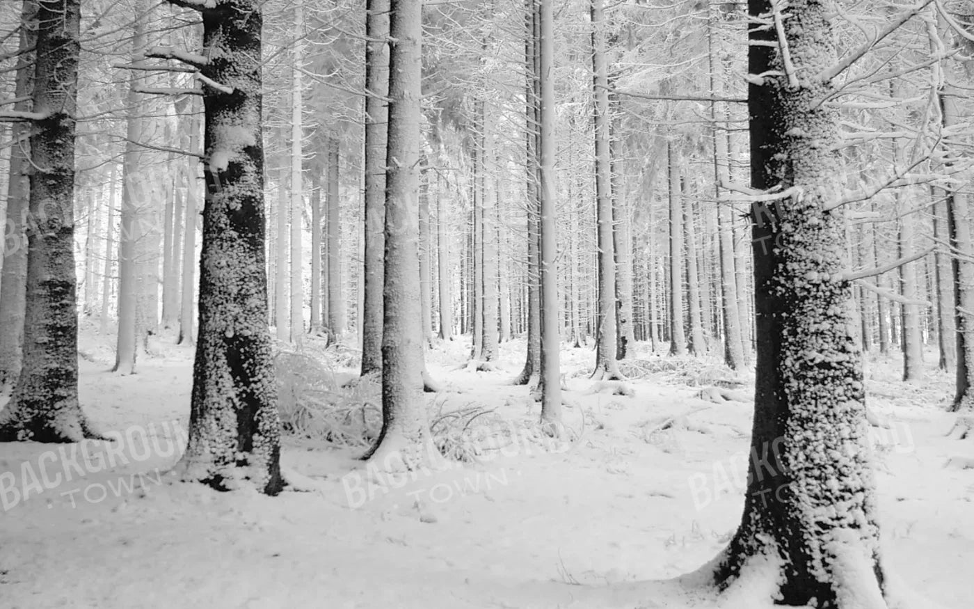 Quiet Winter Walk 14X9 Ultracloth ( 168 X 108 Inch ) Backdrop