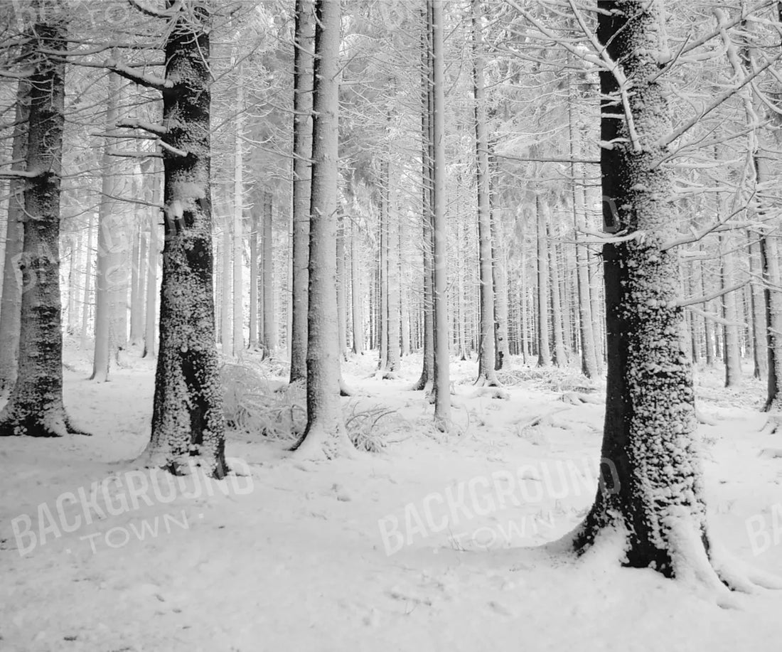 winter forest Backdrop for Photography