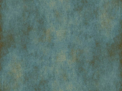 Quinton 68X5 Fleece ( 80 X 60 Inch ) Backdrop