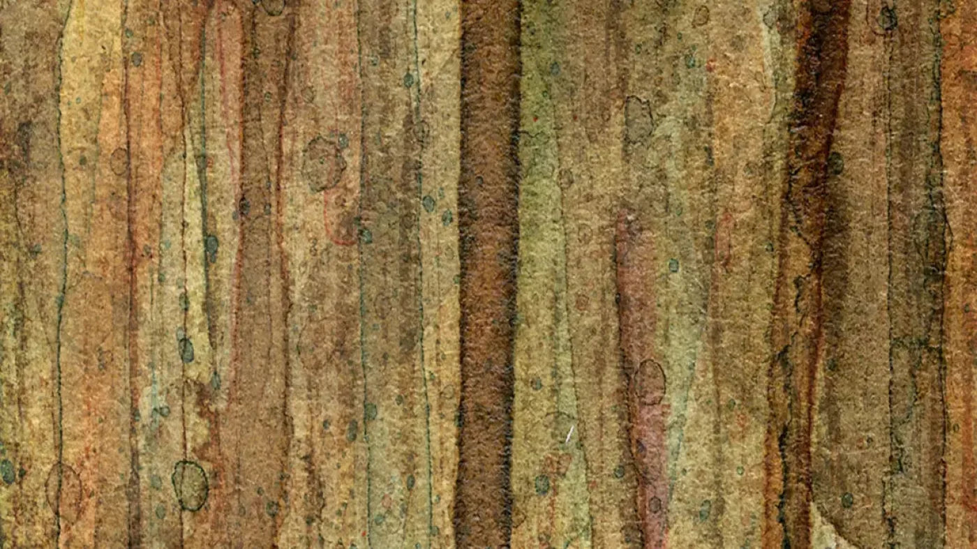 Quirky 14X8 Ultracloth ( 168 X 96 Inch ) Backdrop