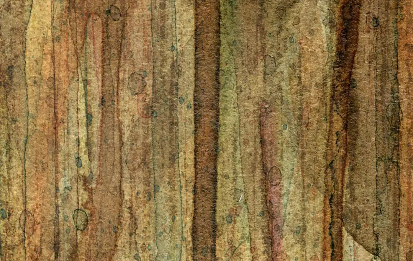 Quirky 16X10 Ultracloth ( 192 X 120 Inch ) Backdrop