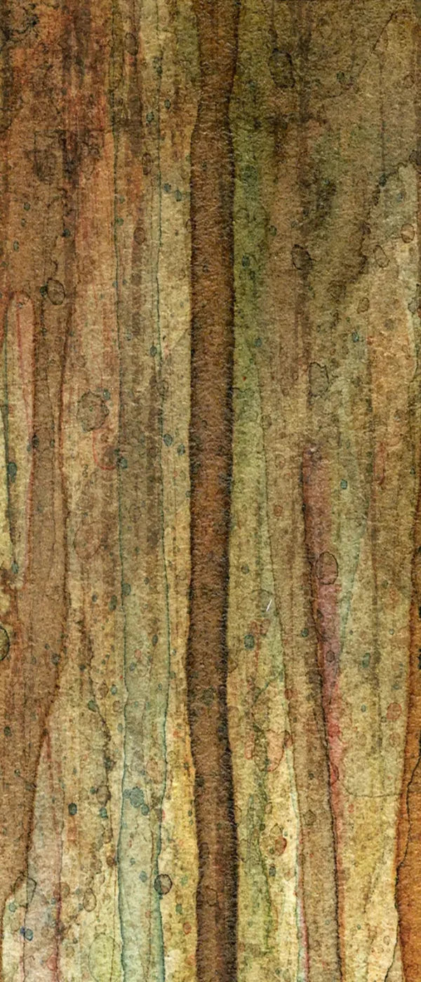 Quirky 5X12 Ultracloth For Westcott X-Drop ( 60 X 144 Inch ) Backdrop
