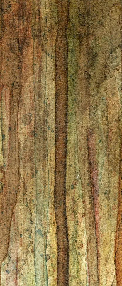 Quirky 5X12 Ultracloth For Westcott X-Drop ( 60 X 144 Inch ) Backdrop