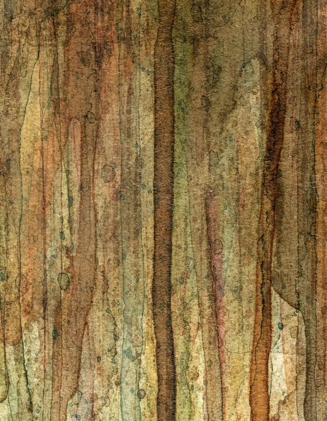 Quirky 6X8 Fleece ( 72 X 96 Inch ) Backdrop