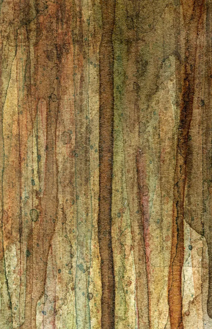 Quirky 8X12 Ultracloth ( 96 X 144 Inch ) Backdrop