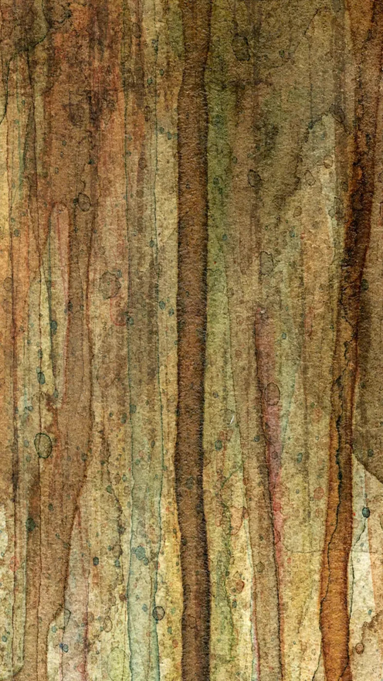 Quirky 8X14 Ultracloth ( 96 X 168 Inch ) Backdrop