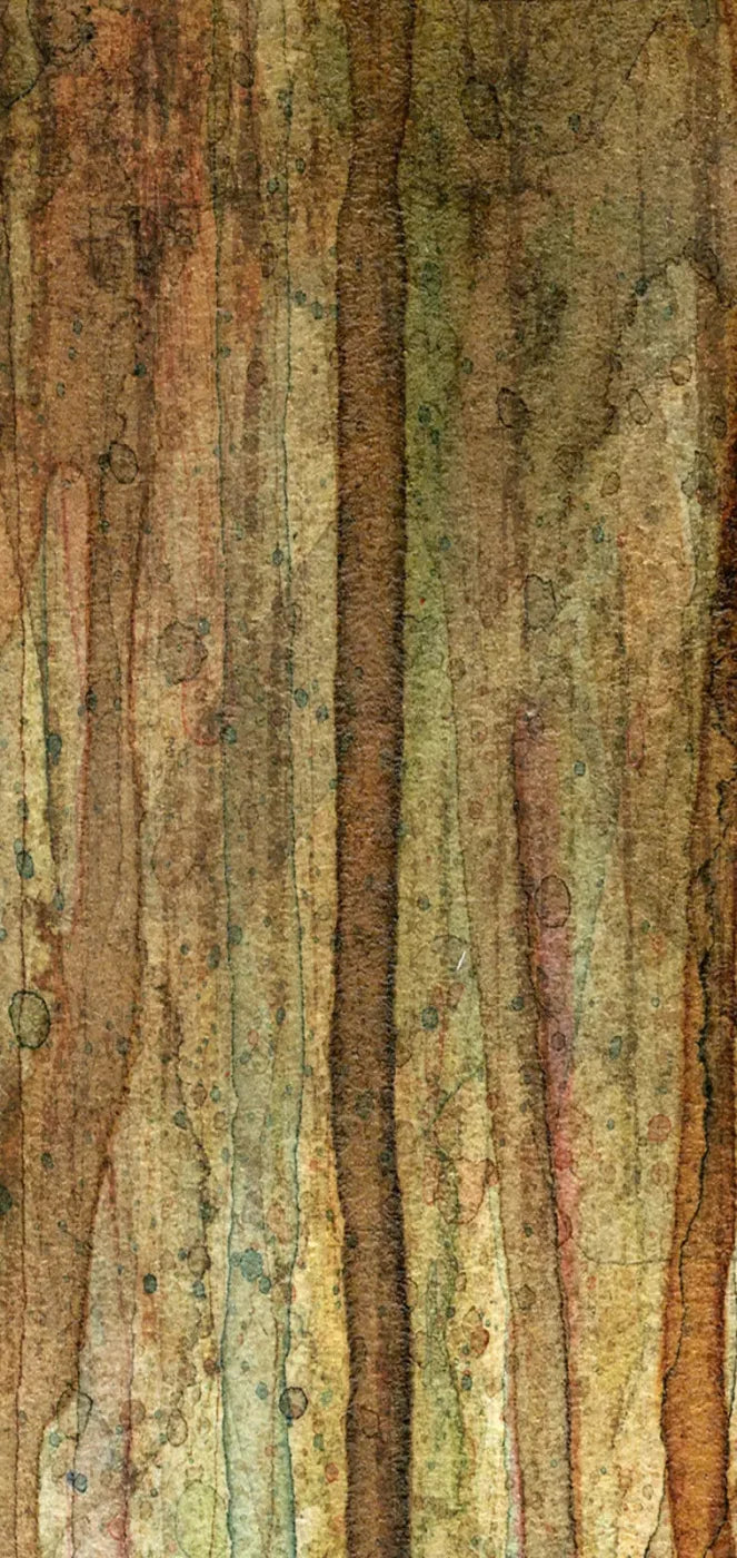 Quirky 8X16 Ultracloth ( 96 X 192 Inch ) Backdrop