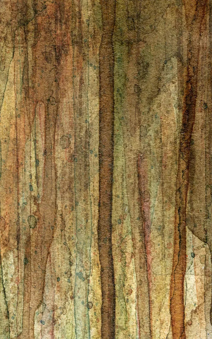 Quirky 9X14 Ultracloth ( 108 X 168 Inch ) Backdrop