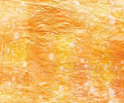 Rachel 5X42 Fleece ( 60 X 50 Inch ) Backdrop
