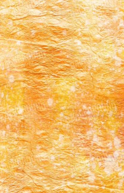 Rachel 8X12 Ultracloth ( 96 X 144 Inch ) Backdrop