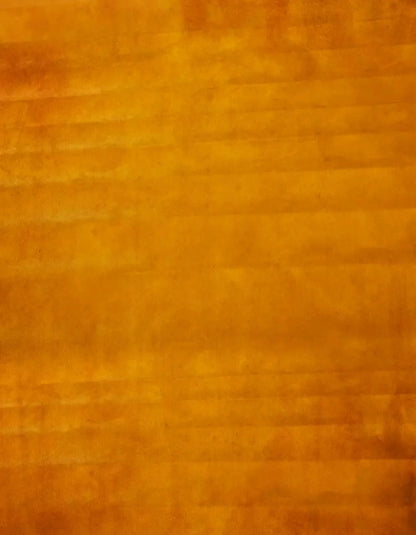 Radiance 6X8 Fleece ( 72 X 96 Inch ) Backdrop