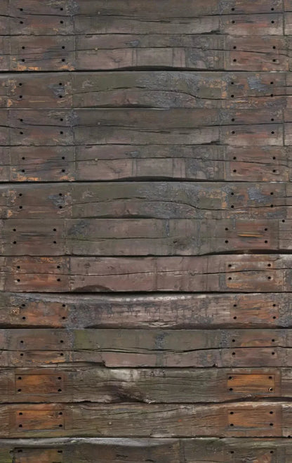 Railroad 10X16 Ultracloth ( 120 X 192 Inch ) Backdrop