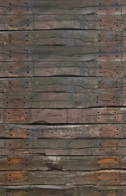 Railroad 8X12 Ultracloth ( 96 X 144 Inch ) Backdrop