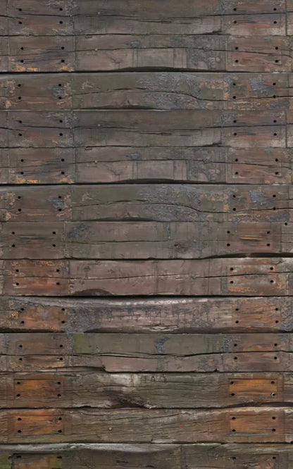 Railroad 9X14 Ultracloth ( 108 X 168 Inch ) Backdrop