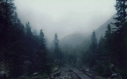 Railroad Haze 14X9 Ultracloth ( 168 X 108 Inch ) Backdrop