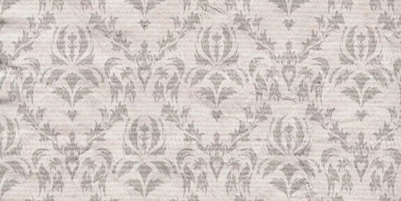 Raleigh 20X10 Ultracloth ( 240 X 120 Inch ) Backdrop