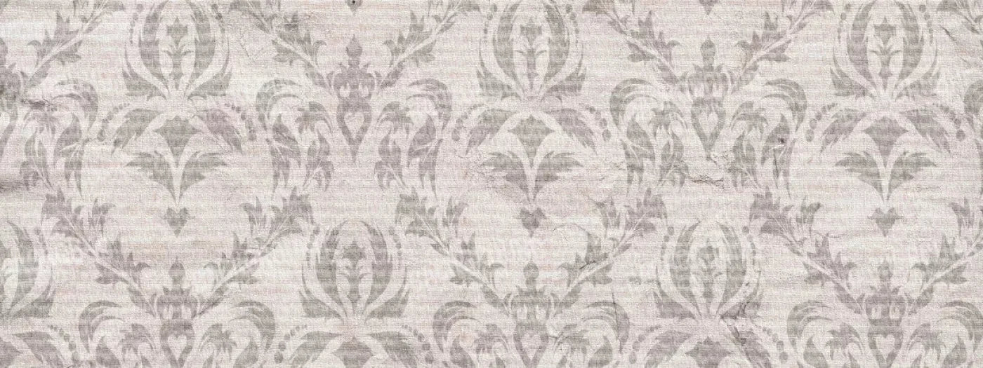 Raleigh 20X8 Ultracloth ( 240 X 96 Inch ) Backdrop