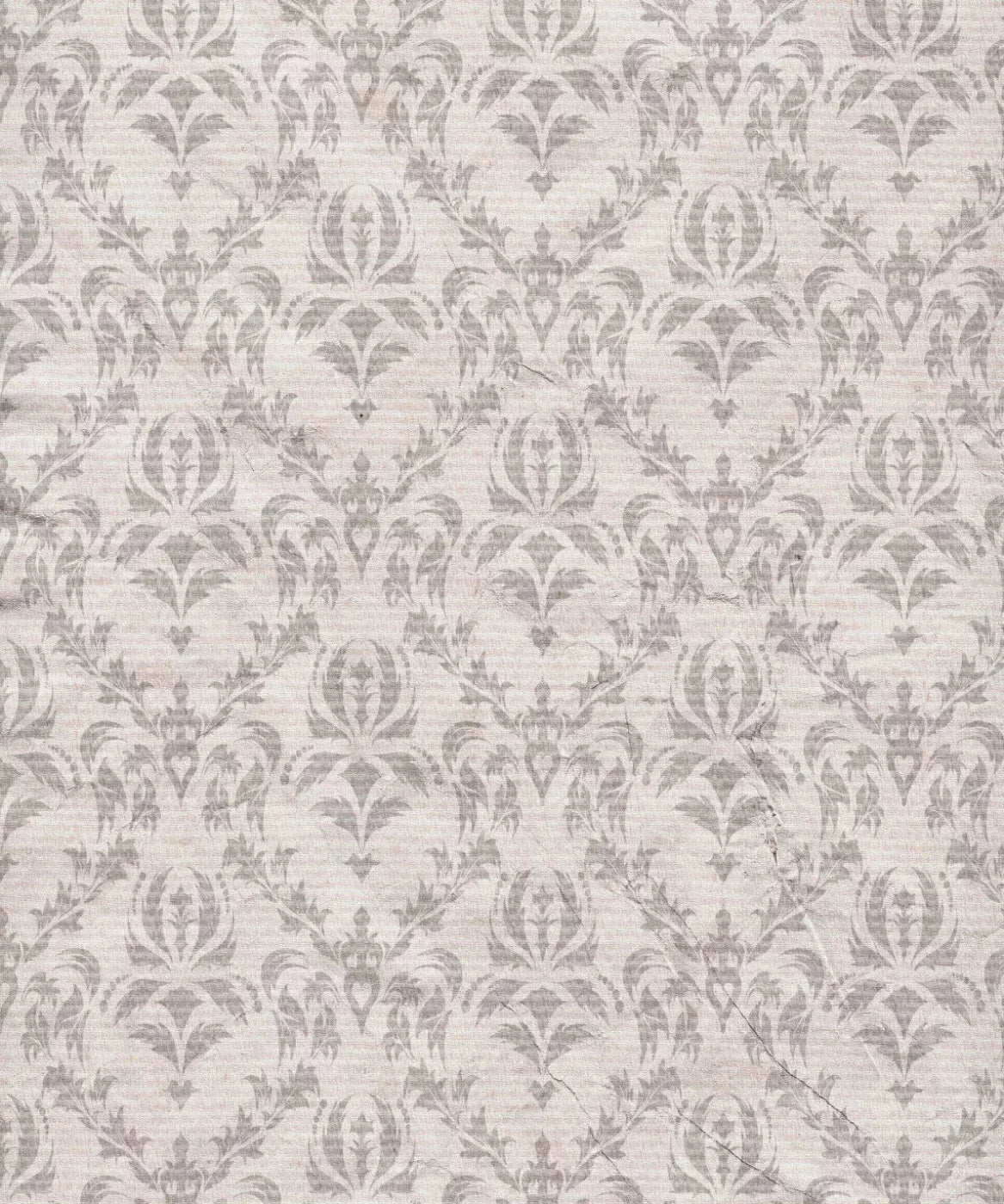 Beige Boudoir Backdrop for Photography