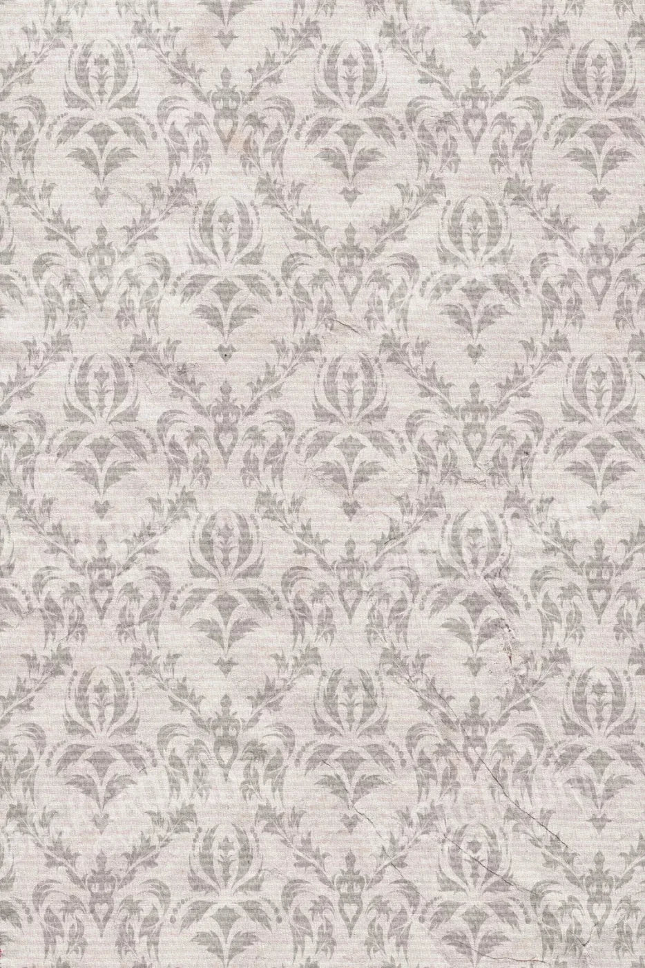 Raleigh 5X8 Ultracloth ( 60 X 96 Inch ) Backdrop