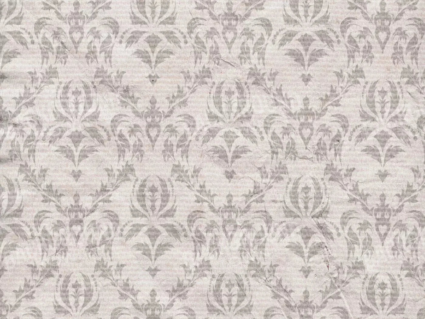 Raleigh 68X5 Fleece ( 80 X 60 Inch ) Backdrop