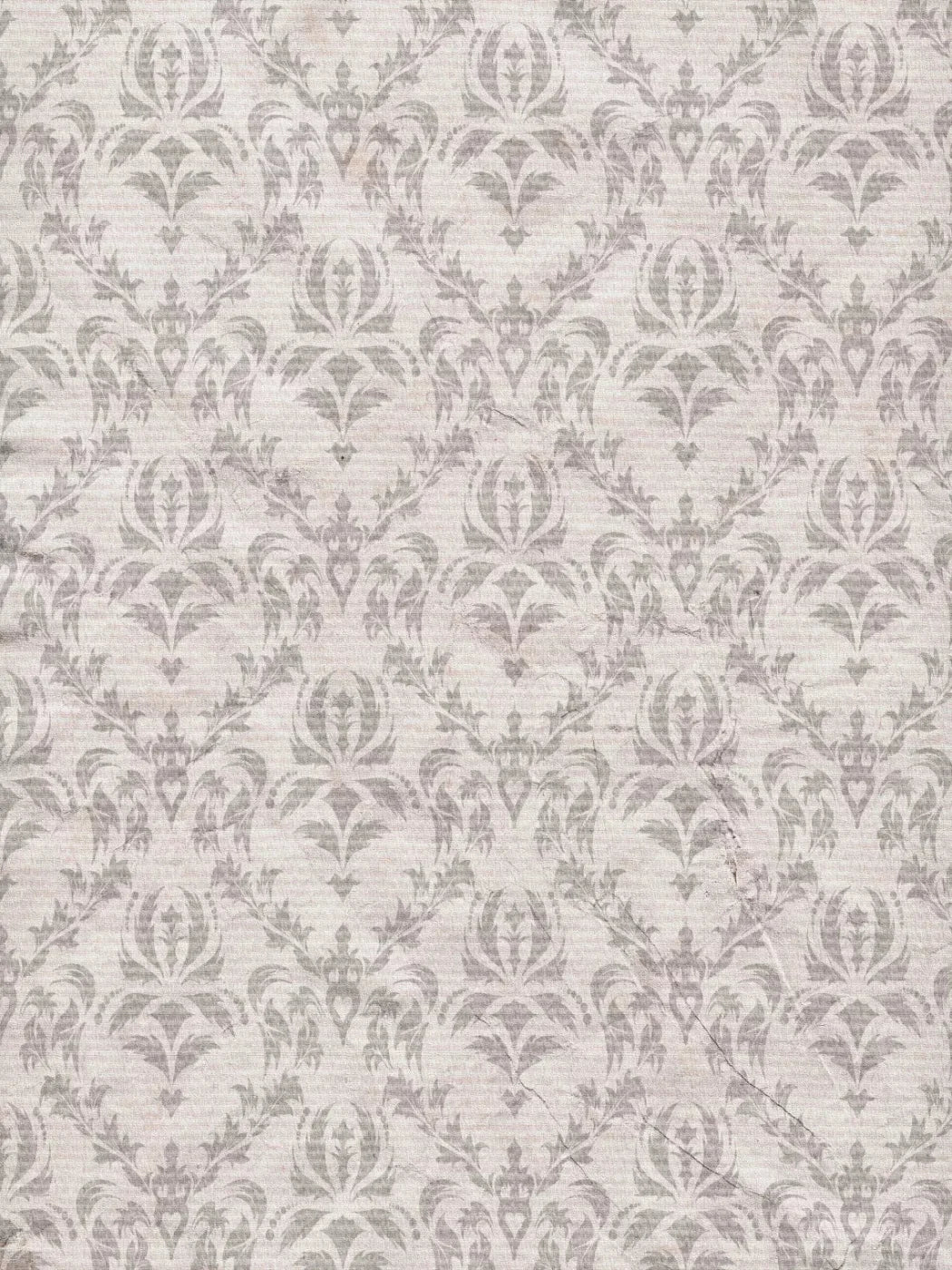 Raleigh 8X10 Fleece ( 96 X 120 Inch ) Backdrop